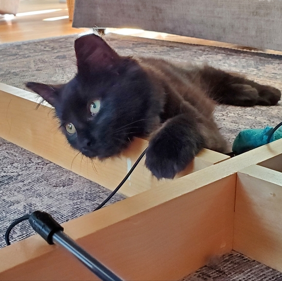 Closet Policies/Promos - Picture 2 of 6